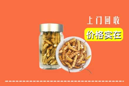 收购资讯:延安市延长回收散虫草