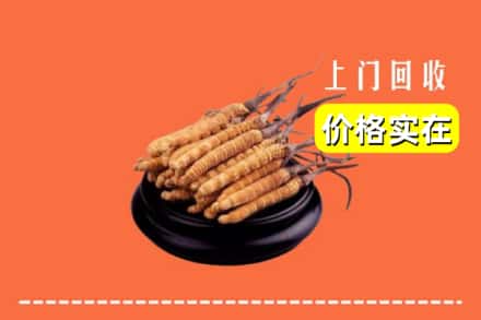 延安市延长回收冬虫夏草